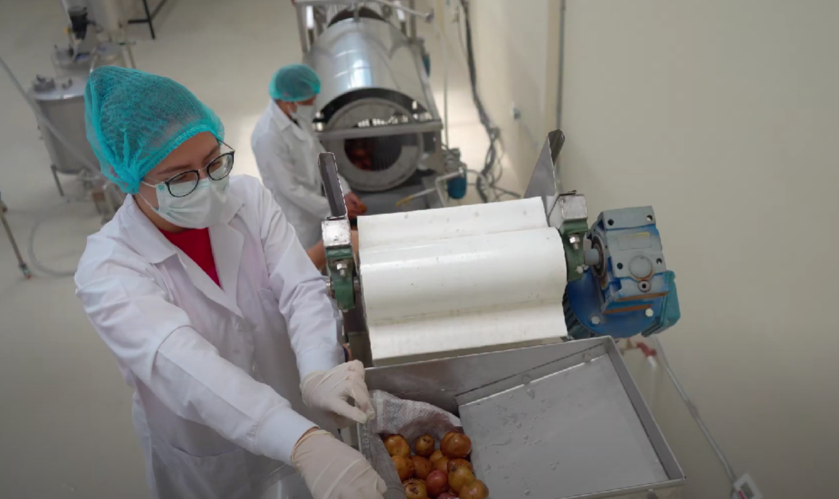 PLANTA PILOTO DE PROCESAMIENTO DE ALMIDÓN