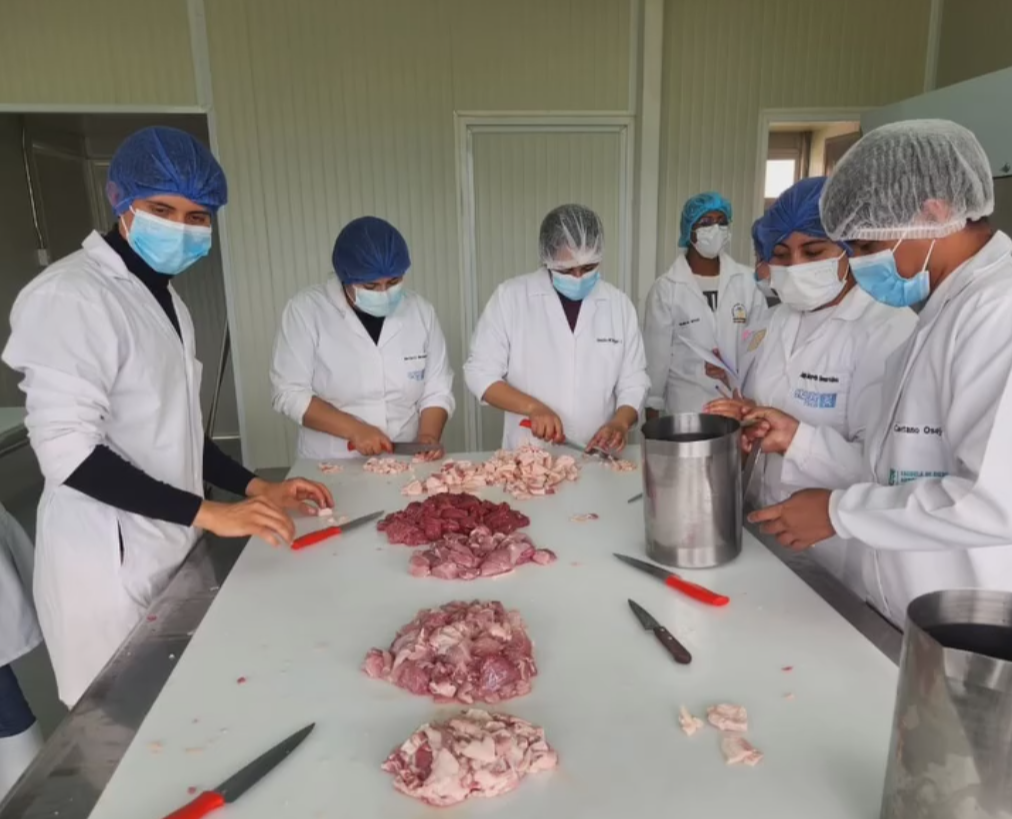 PLANTA PILOTO DE PROCESAMIENTO DE  CÁRNICOS