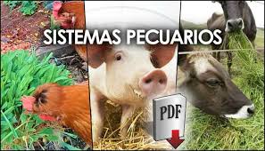 SISTEMAS PECUARIOS